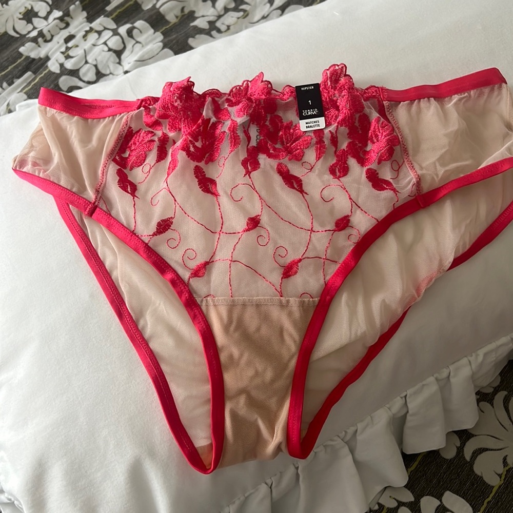 TORRID ✨New with tag hipster panty/underwear